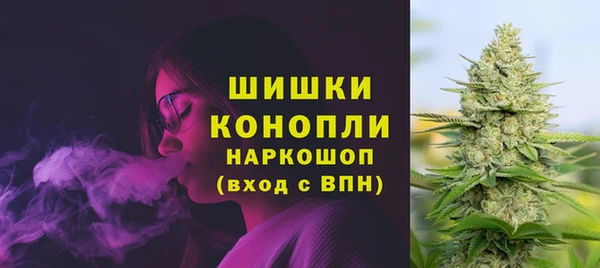 индика Волосово