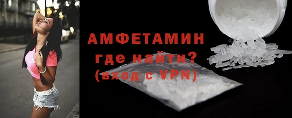 индика Волосово