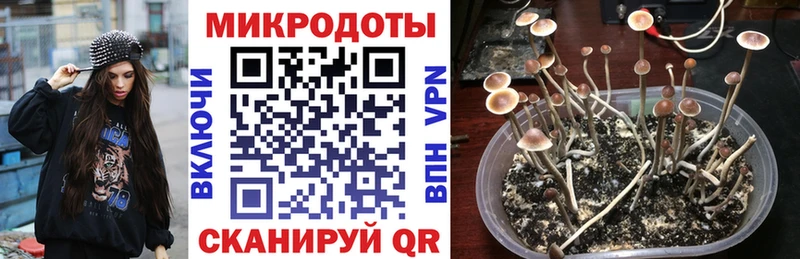 Галлюциногенные грибы мухоморы MEGA Ялта
